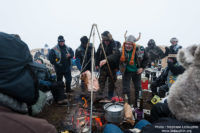 12 - Millevaches_Authentic_2014_Stephane_LeDauphin_20141206_SLD_7986.jpg