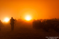 12 - Millevaches_Authentic_2014_Stephane_LeDauphin_20141206_SLD_8134.jpg