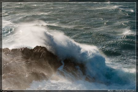 DSC_1515.jpg , Marseille, France, déc. 2009