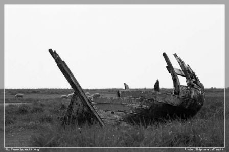 Epave, , France, sept. 2010 Epave