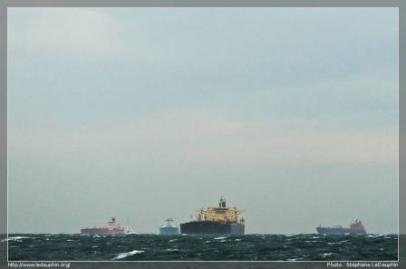 Pétroliers en attente dans le Golf de Fos