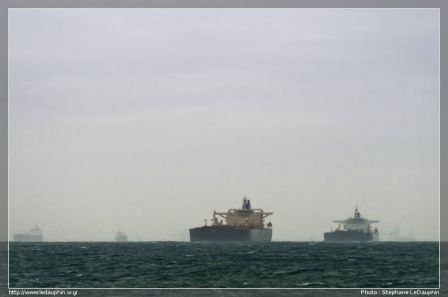 Pétroliers en attente dans le Golf de Fos