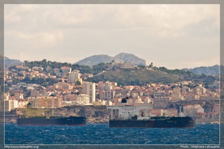 DYNASTY & ELISEWIN, Marseille, France, oct. 2010 DYNASTY & ELISEWIN