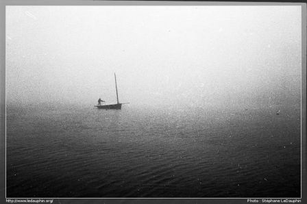 Le Goéland, Misenier