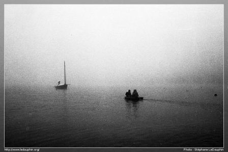 Le Goéland, Misenier