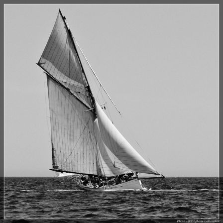 Les Voiles du Vieux port 2011