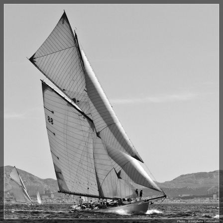 Les Voiles du Vieux port 2011