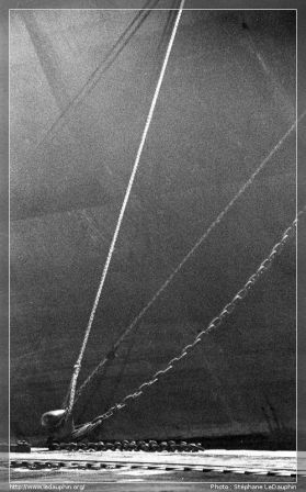 SLeDauphin_Photographie_PC04-90-0020.jpg, , , juin 2012 SLeDauphin_Photographie_PC04-90-0020.jpg