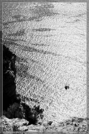 Y a peut-être un ailleurs VII: Plaisir ?, , , sept. 2012 Y a peut-être un ailleurs VII: Plaisir ?