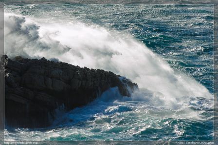 SLeDauphin_Photographie_20130209_SLD_8549.jpg, , , fév. 2013 SLeDauphin_Photographie_20130209_SLD_8549.jpg